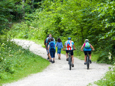 Wanderer und Mountainbiker gemeinsam auf Waldweg